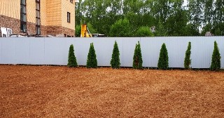 Отсыпка грунта Заинск, цена от 210 руб.